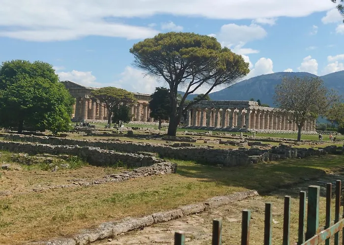 Il Giardino Di Athena